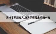 清冷学长甜宠文,清冷学霸男主校园小说